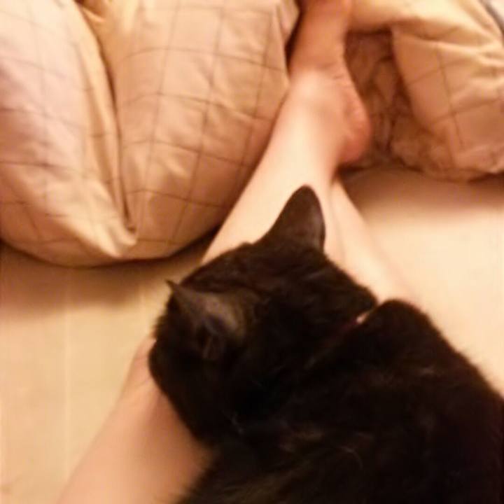 7d538bb5 101d 4fcb aec4 2e00a8198ce1