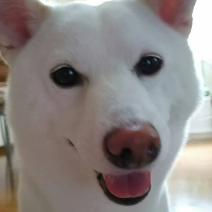 7d54f24b d1e8 43ca 91de 37408ba57b8b