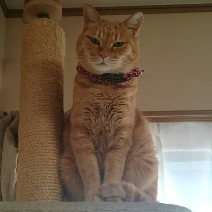 7d55696c a28e 4a31 a66f 2061cecbadad