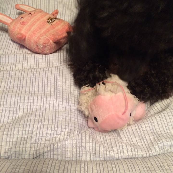 7d56bf97 1255 4dfc 88d2 b29b3d692a0d