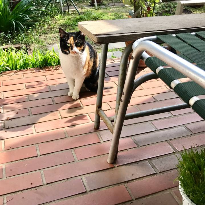 7d56c669 1c5d 4df1 bda0 97ea899f4a65