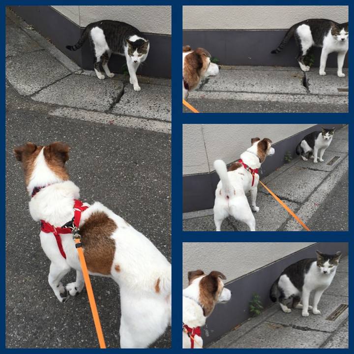 7d56c830 48c6 4b83 ac98 c3a89f195ad5