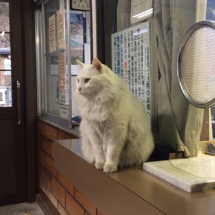 7d56d40b 7676 43fc 903d 8bc533e2e9be