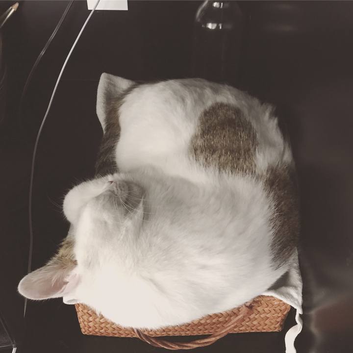 7d5724a0 c29e 43de ba9c ef6c9a626303