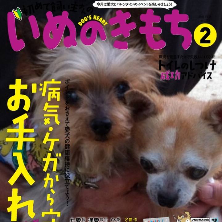 7d57590f a63a 45f2 953d 4249e86e9e2c