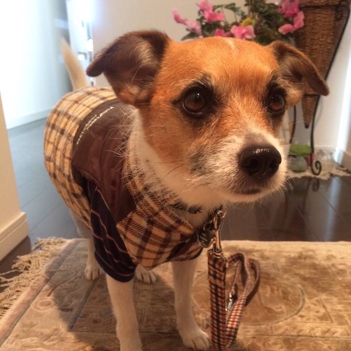 7d57e921 d00c 4fa8 abfb ab270c31cfbd