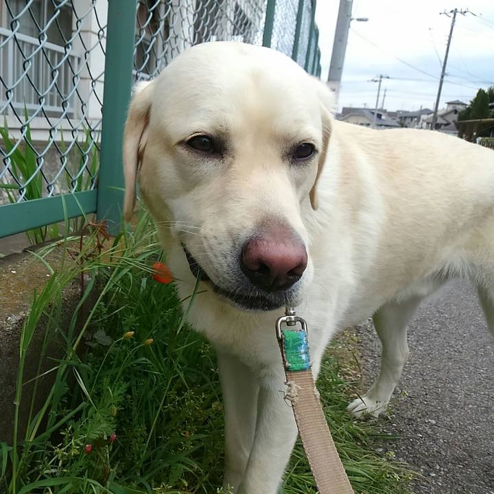 7d58725f b202 43ad 969c e4ac0018b16f