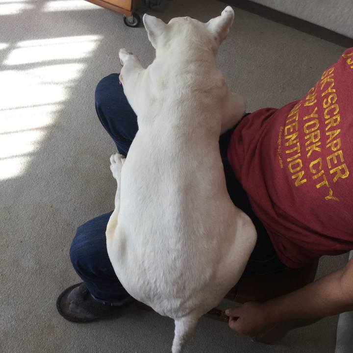 7d59a4fd ccb4 48de 841b 6706d80ef32b