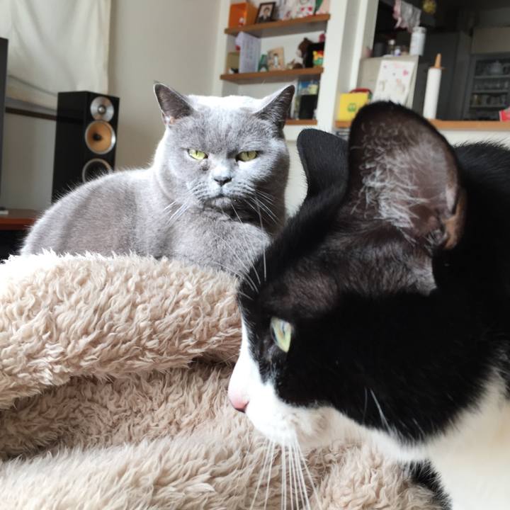 7d5b2832 fe00 4869 b2c8 2aa398223062