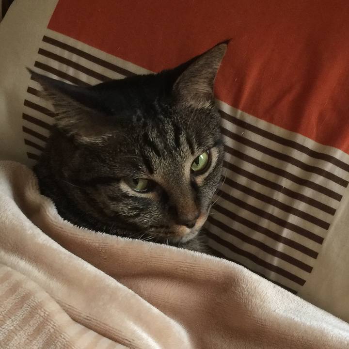 7d5c015d 458c 487c 8191 7be96b8924d5