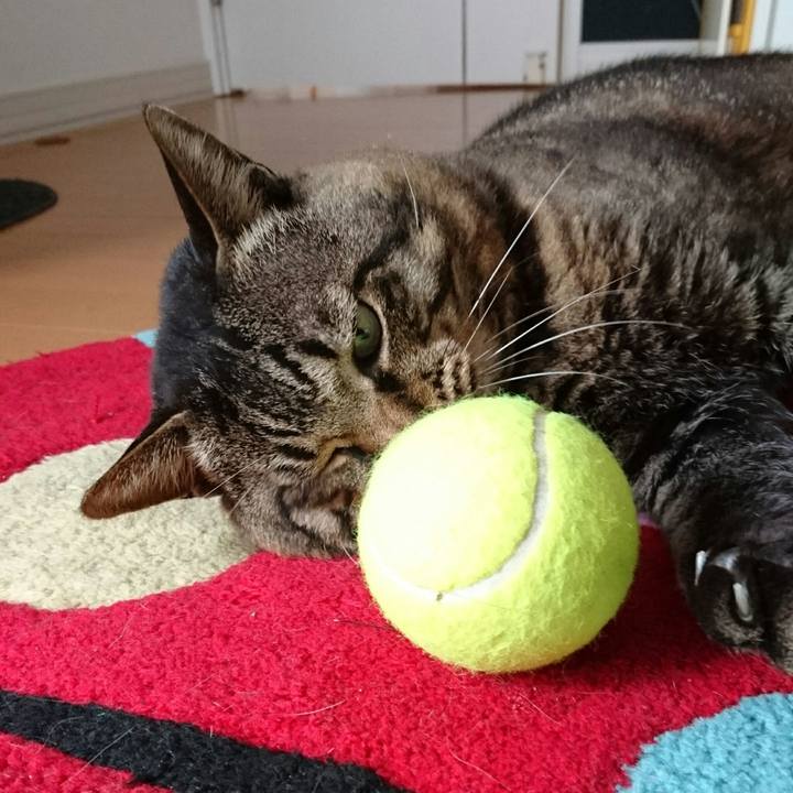 7d5c069f fe09 4599 a4a4 96dda6345ae9