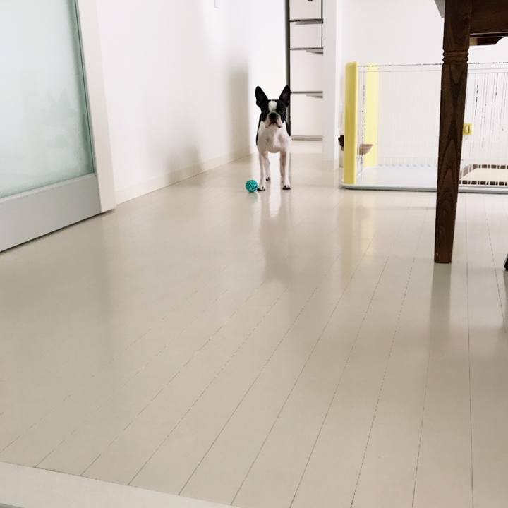 7d5c19ea 4e86 47ab 96df b63d02b42d0a