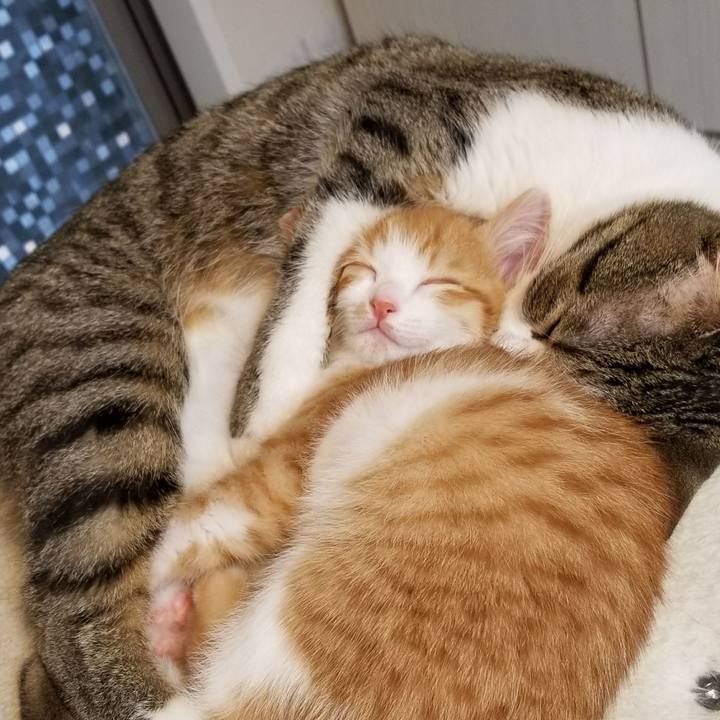 7d5c4aca fcad 4388 bdaa a94313c5e2bd