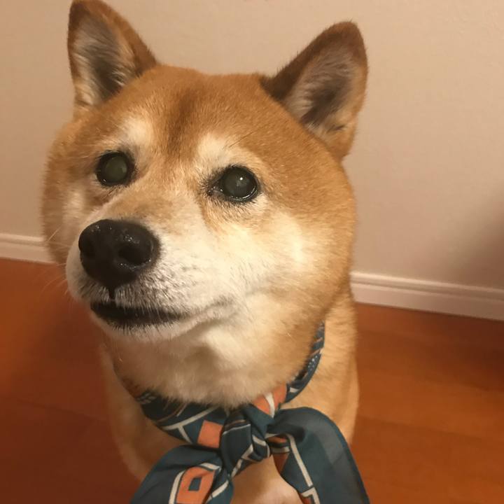 7d5c79e6 60d6 4848 9453 3ba2dcfc26e1