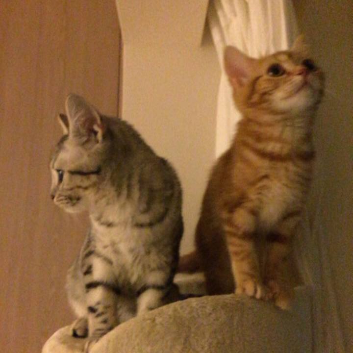 7d5c8dba f89e 415e 9271 352eae867738