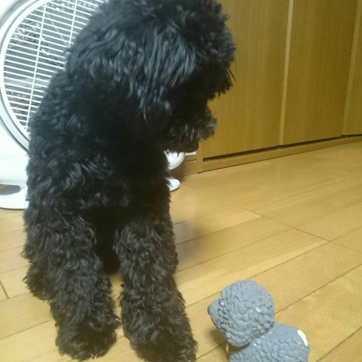 7d5cf69c 47d3 4851 83a7 d4d19a5e28df