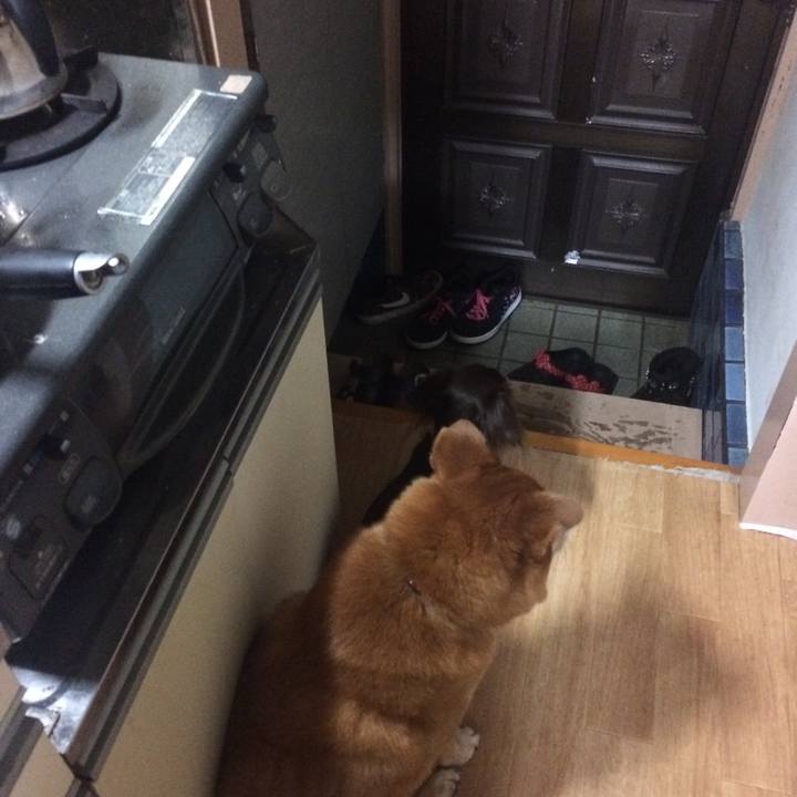 7d5d4e34 725f 43b3 85eb d6e8403e0efb