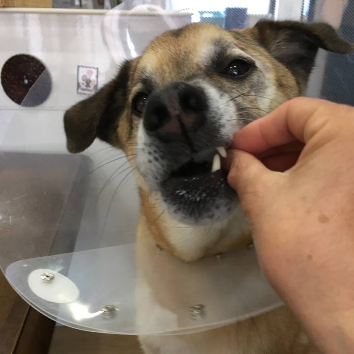 7d5d975c cabd 41d7 b200 a5956008b248