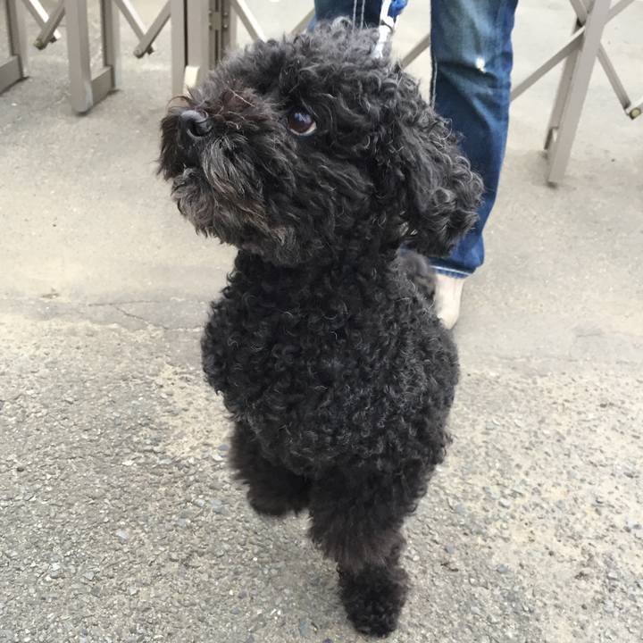 7d5e4b46 b612 4d12 b9a8 88966e6342fb