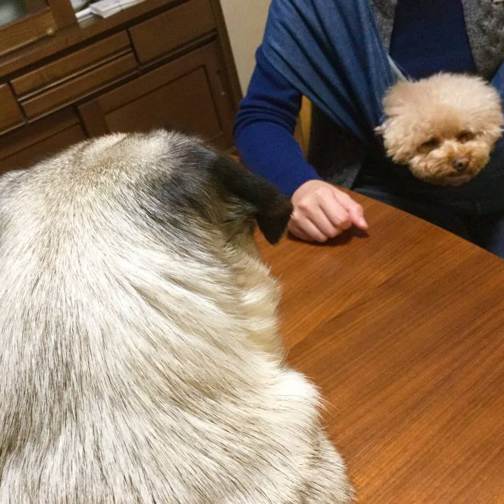 7d5ef39b c68f 4673 a277 41d2bdaf3f4c