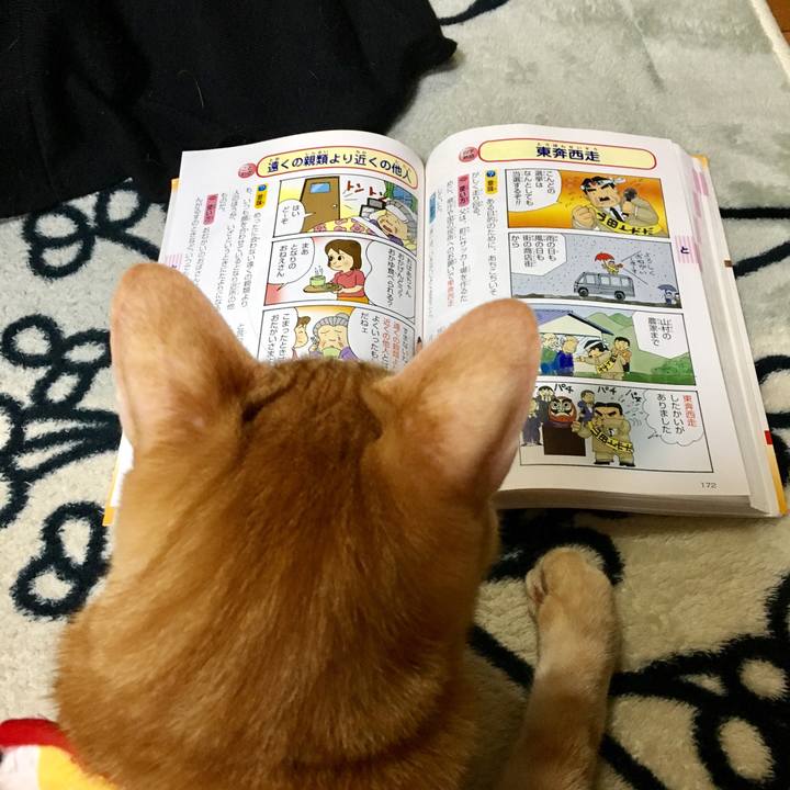 7d5f48e5 53b2 49f6 a936 89cc6504527a