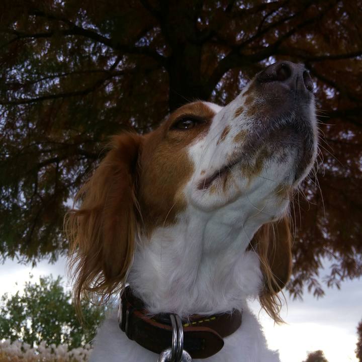 7d5fa860 d69e 4dae 924a 907b904c4e28