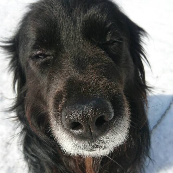 7d5fdca0 ffae 4671 a7ef 7fd89925159b