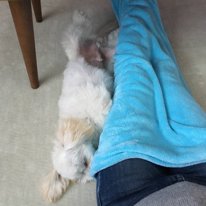 7d60bb7f d204 4af5 99d4 9ac99b1e83ef