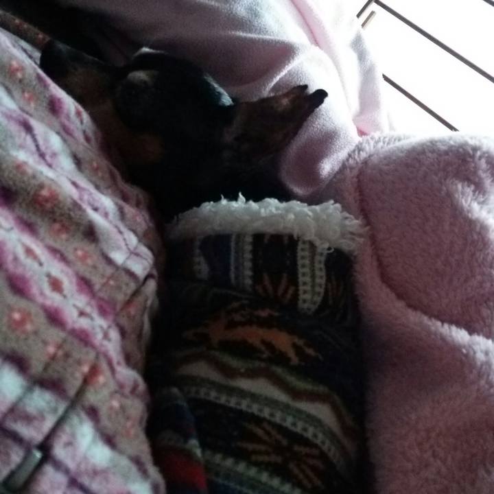 7d60cec1 760e 442e bdc4 6f45c8e18511