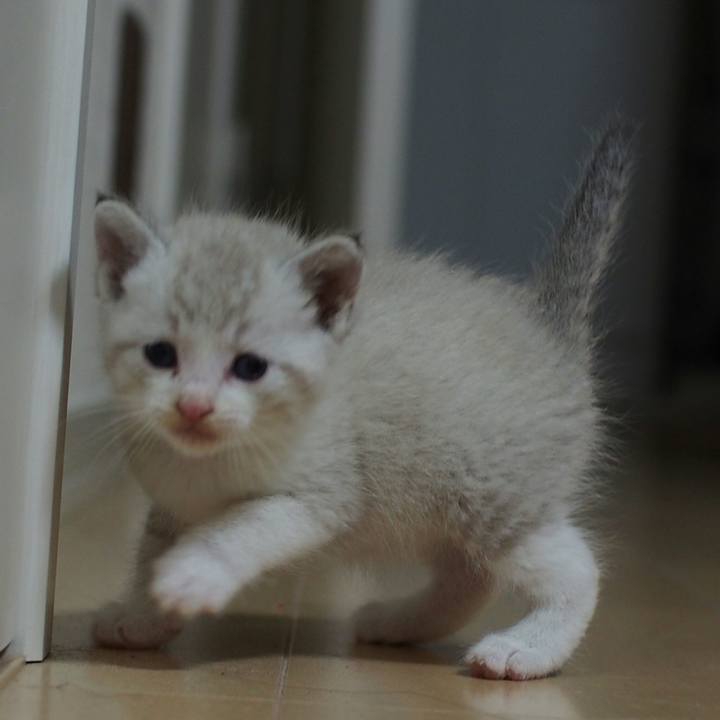 7d60d278 440a 4343 952b 9e53a6b494ab