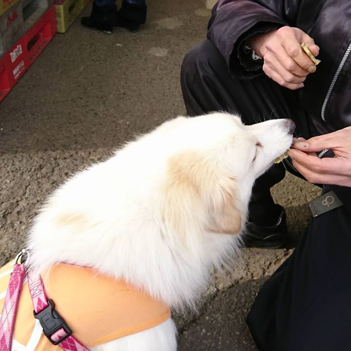 7d616a05 ede8 4a92 8860 9ed0956bd53d