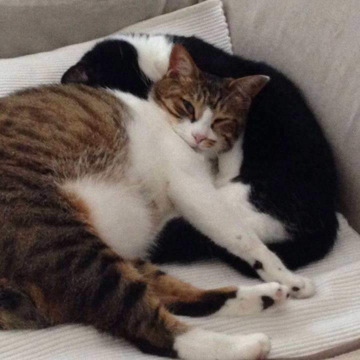 7d619d4f 6d0d 420d b0bb 5308b6385860