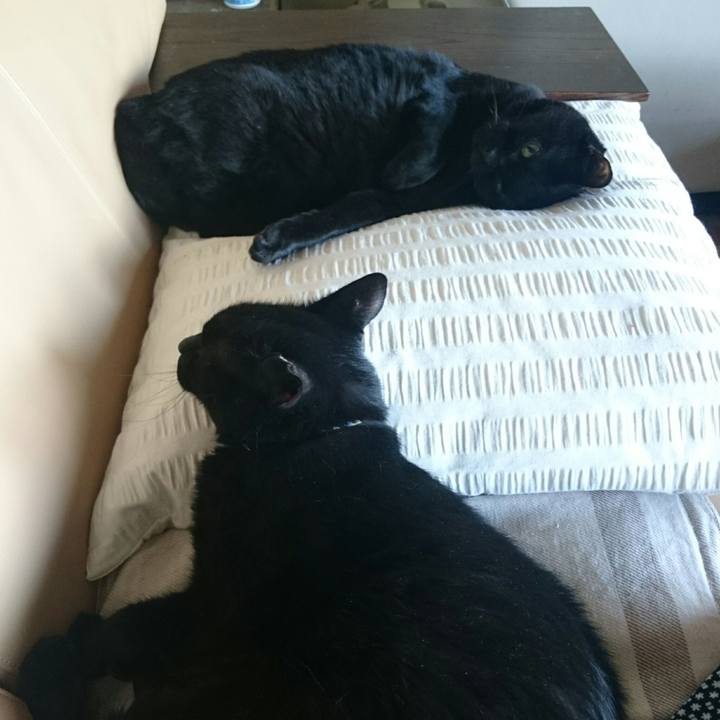 7d62c7c3 8a29 4f58 96ac 3e8c636d504a