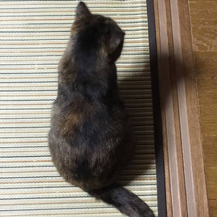 7d63208a 9c15 482a bc3d 19248cccd8e9