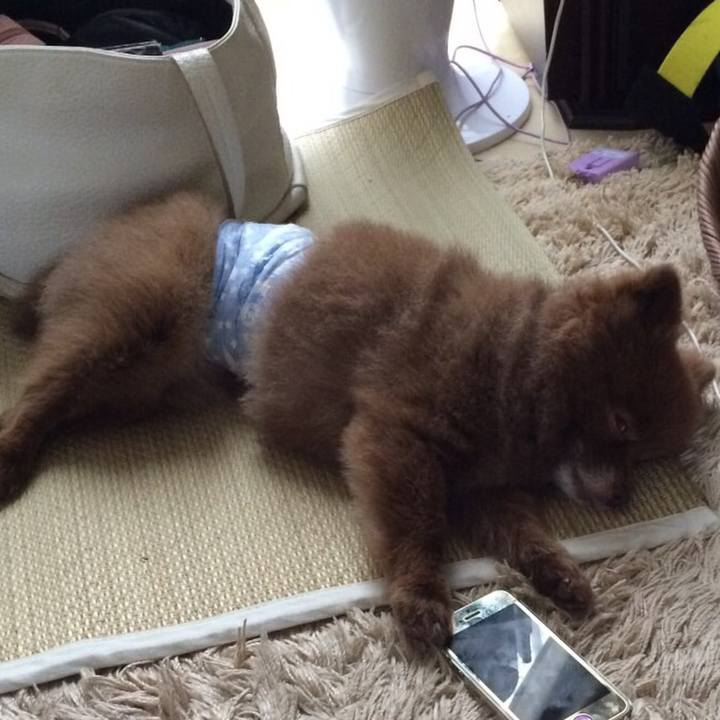 7d63afa7 079c 43d8 8c42 0dc4d0c20227