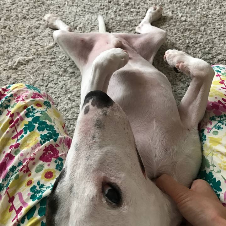 7d640f93 a4cc 4701 a26f 64a7e7240287