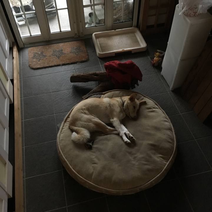 7d6471ef d14f 4d33 b691 8e8bbdfc3f0d