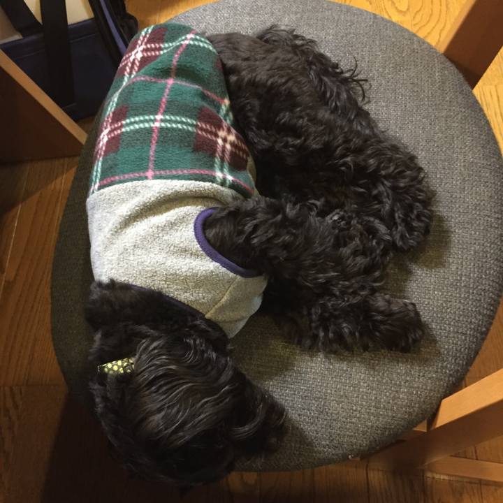 7d64c34a 450d 4dcd b32a 49b17d8b4c2c