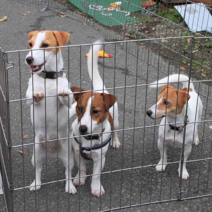 7d650a56 f075 4823 9d94 932b16db5265