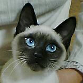 7d659efb 4894 4f37 8f23 396792d4ef6d