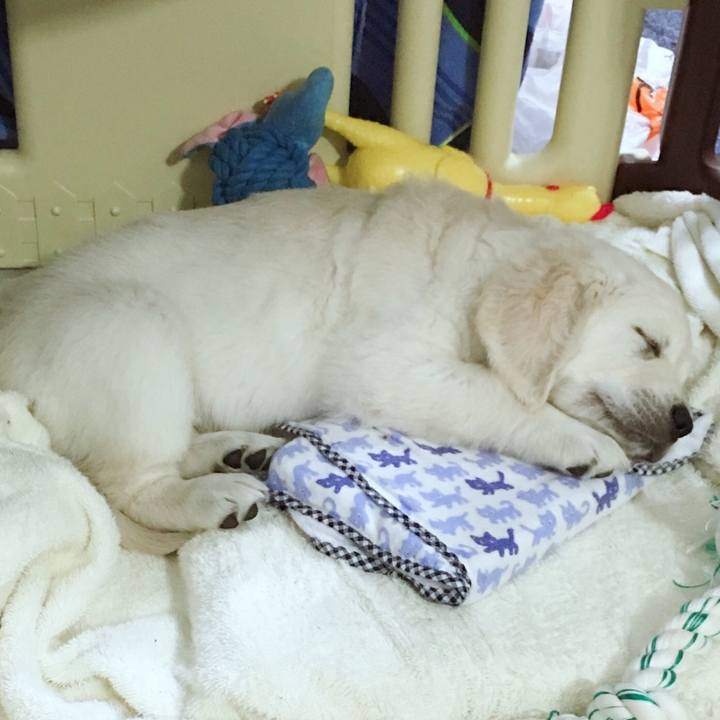 7d65b6db ba3f 43ce ad4b 231419bd4b50