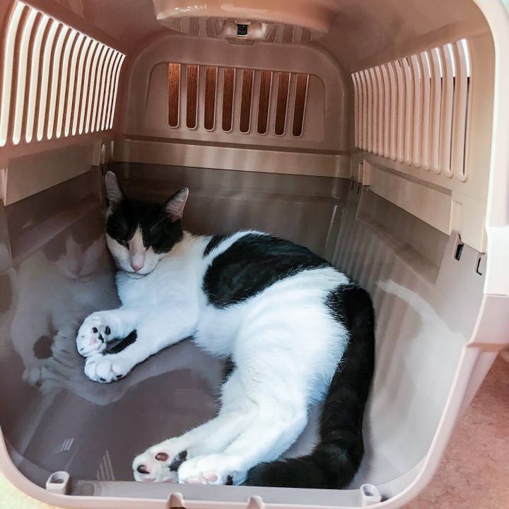 7d65f643 6f56 4444 80c7 61bad4044543