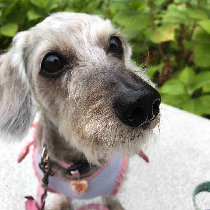 7d6625d9 3546 476a b5e6 7f3113b04755