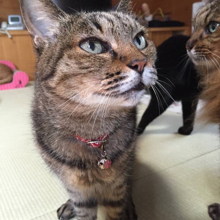 7d66cb12 1611 44cc 8d5b 38dacf14d4e8