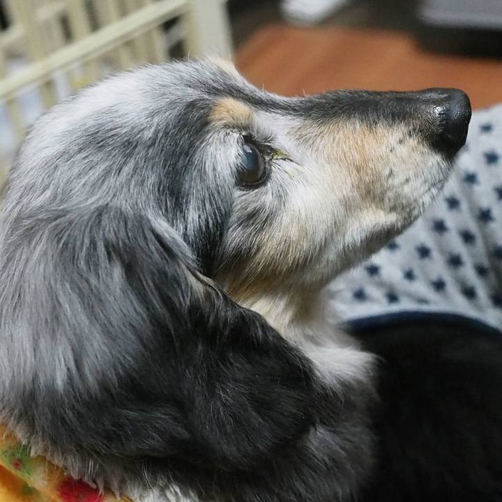 7d67a0b1 5496 4a23 b789 efeb97d8f03f