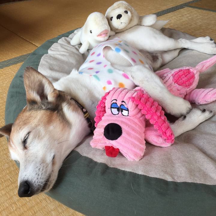 7d67c7c0 c1d2 496d a6a3 5c08f64ce5b9