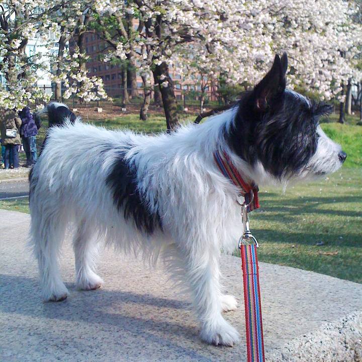 7d67e744 2e28 44fa 8c94 7f206ef0e79c