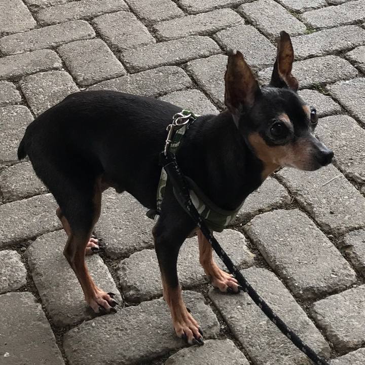 7d6867b1 1485 47d6 94cd bf6679482595