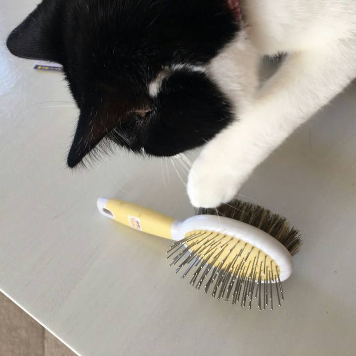 7d68d00d 116e 42c8 b408 eb5a39df7a92