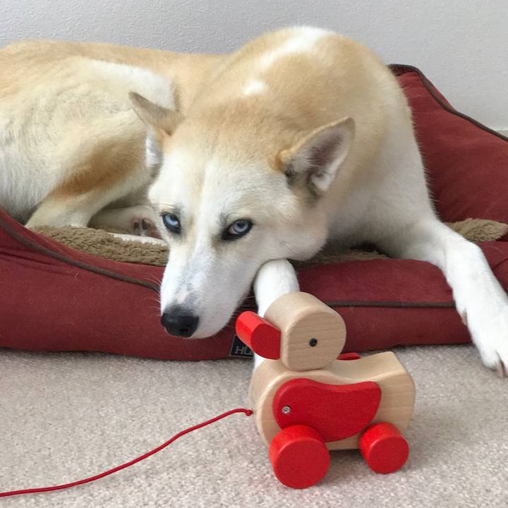 7d68dd68 4d6f 4e32 a7ff bdfe6b5ac15e